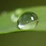 reverse_osmosis_system