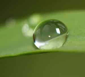 reverse osmosis filtration